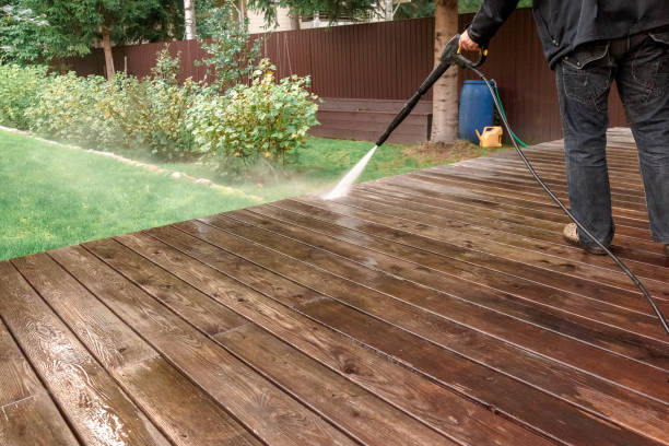 Best Solar Panel Cleaning  in Rpinteria, CA